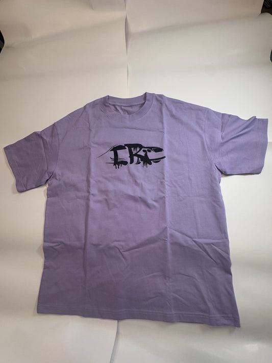 Short sleeve t-shirt and shorts