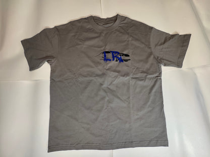 Short sleeve t-shirt and shorts